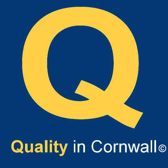 QIC Logo
